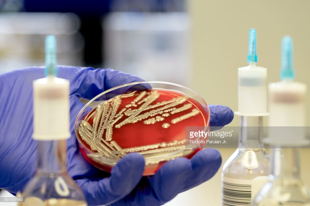 CSIG_Med_MAB_2020